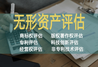 國外專利無形資產(chǎn)評估方法及其應用