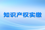 知識產(chǎn)權(quán)質(zhì)押融資，知識產(chǎn)權(quán)質(zhì)押融資風(fēng)險補(bǔ)償機(jī)制